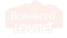 Levité